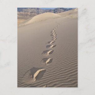 USA, Kalifornien, Footprints von Wüstendüne Postkarte