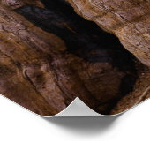 USA, Kalifornien, Giant Sequoia tree Poster (Ecke)