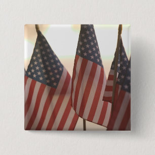 USA, Kalifornien, Gold Country, Amador City: Button