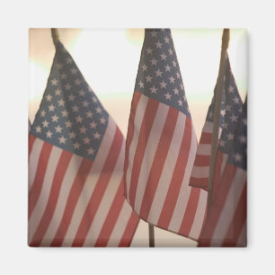 USA, Kalifornien, Gold Country, Amador City: Magnet