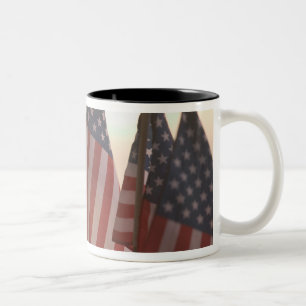 USA, Kalifornien, Gold Country, Amador City: Zweifarbige Tasse