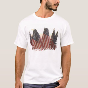 USA, Kalifornien, Goldland, Amador-Stadt: T-Shirt