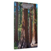 USA, Kalifornien. Holzbaumstämme, Mariposa Klemmbrett (Rechts)