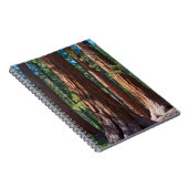 USA, Kalifornien. Holzbaumstämme, Mariposa Notizblock (Rechte Seite)