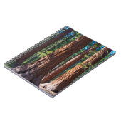 USA, Kalifornien. Holzbaumstämme, Mariposa Notizblock (Linke Seite)