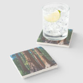 USA, Kalifornien. Holzbaumstämme, Mariposa Steinuntersetzer (Seitenansicht)