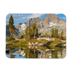 USA, Kalifornien, Inyo National Forest 13 Magnet