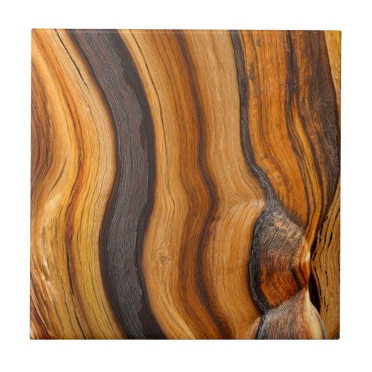 USA, Kalifornien, Inyo National Forest 7 Fliese (Vorderseite)