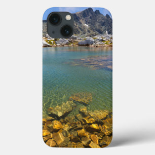 USA, Kalifornien, Inyo National Forest 8 Case-Mate iPhone Hülle