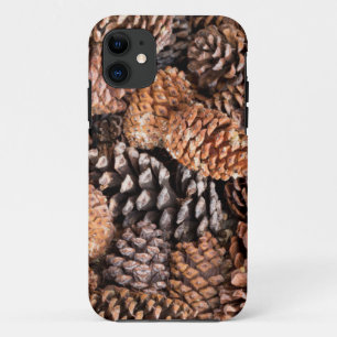 USA, Kalifornien, Inyo National Forest Case-Mate iPhone Hülle