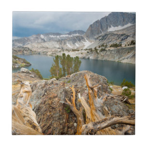 USA, Kalifornien, Inyo National Forest. Fliese