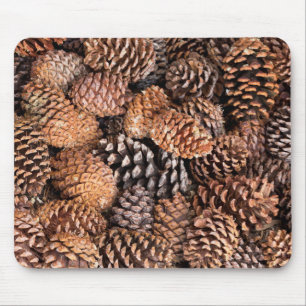 USA, Kalifornien, Inyo National Forest Mousepad
