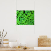 USA, Kalifornien, Jedediah Smith Rewood SP. Poster (Küche)