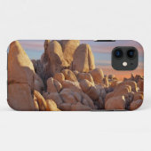 USA, Kalifornien, Joshua-Baum-Nationalpark Case-Mate iPhone Hülle (Rückseite (Horizontal))