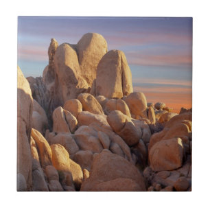 USA, Kalifornien, Joshua-Baum-Nationalpark Fliese