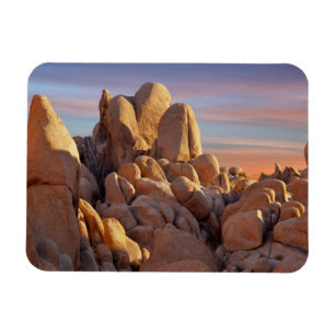 USA, Kalifornien, Joshua-Baum-Nationalpark Magnet
