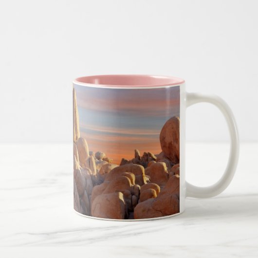 USA, Kalifornien, Joshua-Baum-Nationalpark Zweifarbige Tasse (Rechts)