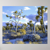 USA, Kalifornien, Joshua Tree National Park. 2 Poster (Vorne)