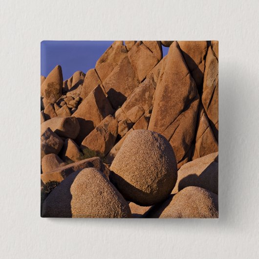 USA, Kalifornien, Joshua Tree National Park. Button (Vorderseite)