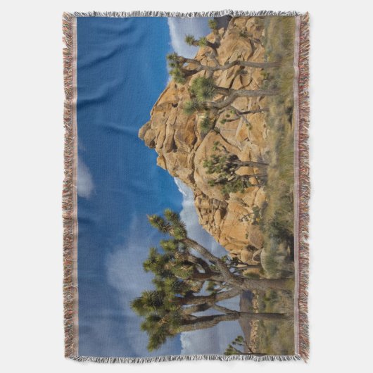 USA, Kalifornien, Joshua Tree National Park Decke (Vorderseite Vertikal)