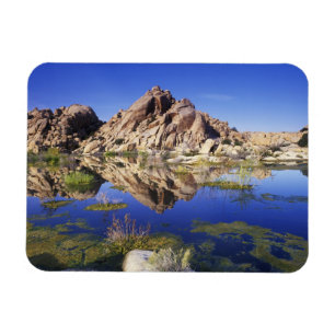USA, Kalifornien, Joshua Tree National Park, Magnet