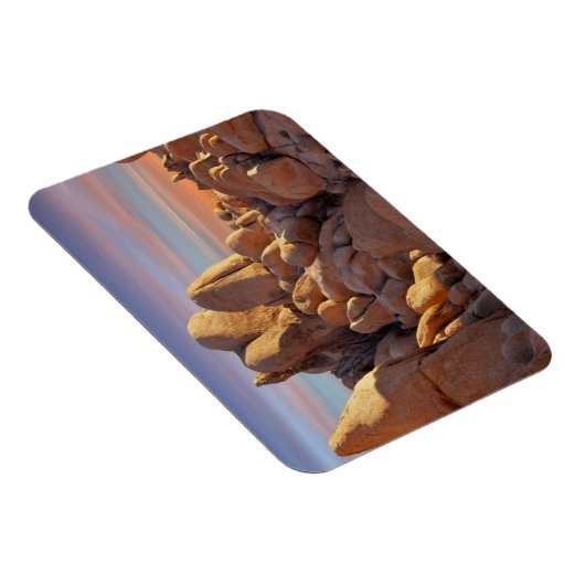 USA, Kalifornien, Joshua Tree National Park Magnet (Rechte Seite)