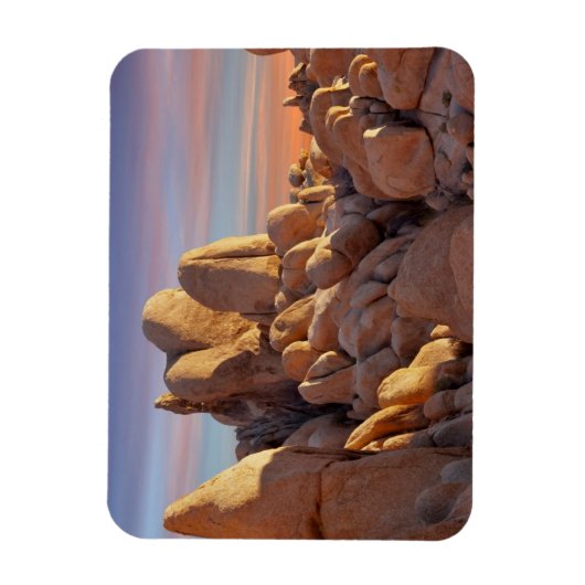 USA, Kalifornien, Joshua Tree National Park Magnet (Vertikal)