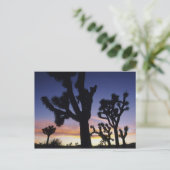 USA, Kalifornien, Joshua Tree National Park, Postkarte (Stehend Vorderseite)