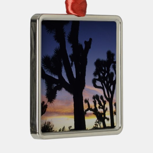 USA, Kalifornien, Joshua Tree National Park Silbernes Ornament (Rechts)