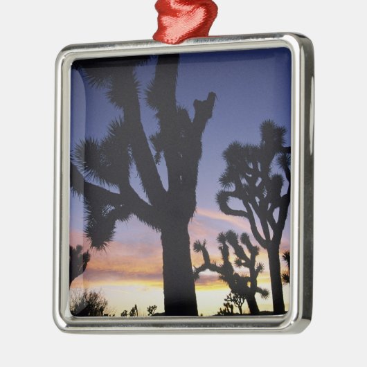 USA, Kalifornien, Joshua Tree National Park Silbernes Ornament (Links)
