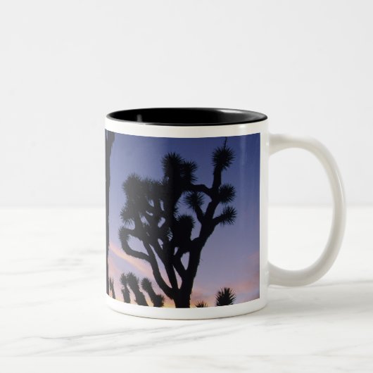 USA, Kalifornien, Joshua Tree National Park Zweifarbige Tasse (Rechts)