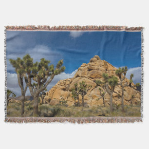 USA, Kalifornien, Joshua-Tree-Nationalpark Decke