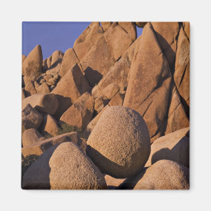 USA, Kalifornien, Joshua-Tree-Nationalpark. Magnet