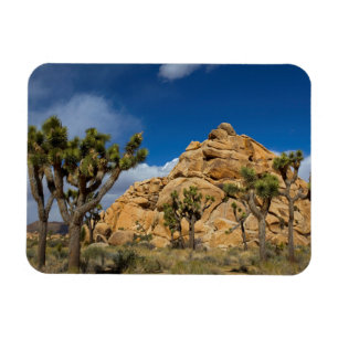 USA, Kalifornien, Joshua-Tree-Nationalpark Magnet
