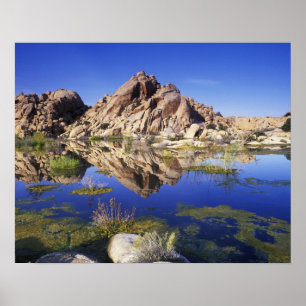 USA, Kalifornien, Joshua-Tree-Nationalpark, Poster