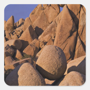 USA, Kalifornien, Joshua-Tree-Nationalpark. Quadratischer Aufkleber
