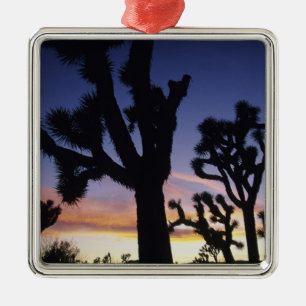 USA, Kalifornien, Joshua-Tree-Nationalpark, Silbernes Ornament