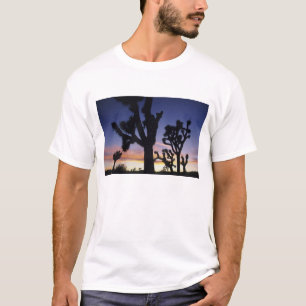 USA, Kalifornien, Joshua Tree Nationalpark, T-Shirt