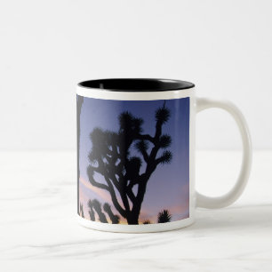USA, Kalifornien, Joshua Tree Nationalpark, Zweifarbige Tasse