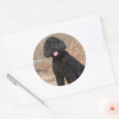 USA, Kalifornien. Labradoodle Sitting Runder Aufkleber (Umschlag)