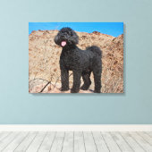 USA, Kalifornien. Labradoodle Stehend Leinwanddruck (Insitu (Holzboden))