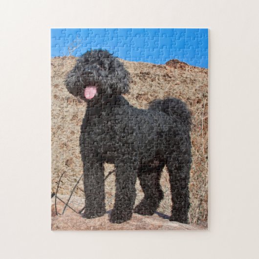USA, Kalifornien. Labradoodle Stehend Puzzle (Vertikal)