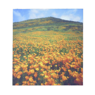 USA, Kalifornien, Lake Elsinore. Kalifornien Notizblock