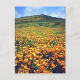 USA, Kalifornien, Lake Elsinore. Kalifornien Postkarte