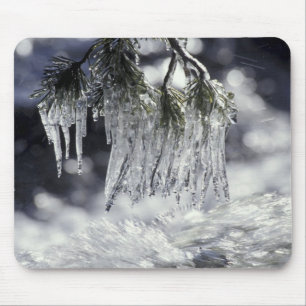 USA, Kalifornien, Lake Tahoe. Eiszapfen über Mousepad
