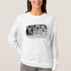 USA, Kalifornien, Lake Tahoe. Eiszapfen über T-Shirt