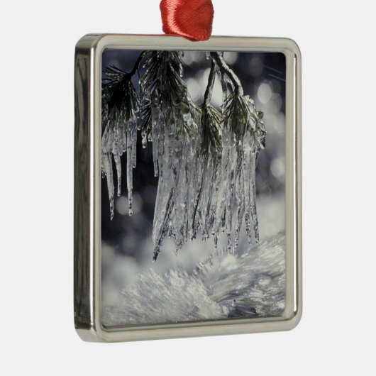 USA, Kalifornien, Lake Tahoe. Ikone Silbernes Ornament (Rechts)