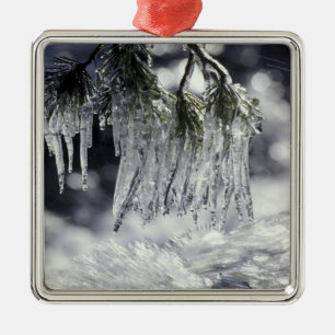 USA, Kalifornien, Lake Tahoe. Ikone Silbernes Ornament