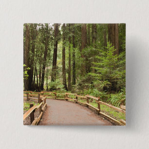 USA, Kalifornien, Marin County, Muir Woods Button
