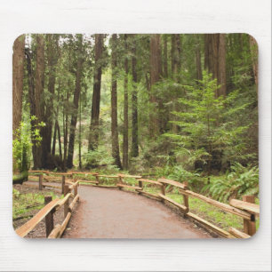 USA, Kalifornien, Marin County, Muir Woods Mousepad